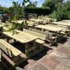 Multiple wooden picnic benches with rounded edges and seat backs in hospitality venue outdoor seating area